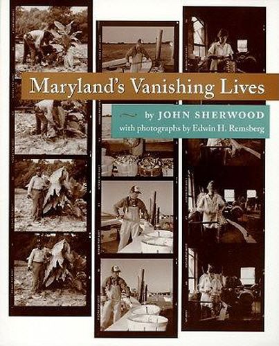 Cover image for Maryland's Vanishing Lives