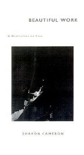 Cover image for Beautiful Work: A Meditation on Pain