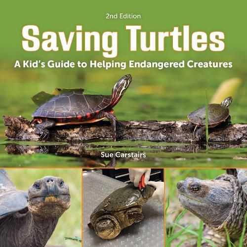 Cover image for Saving Turtles