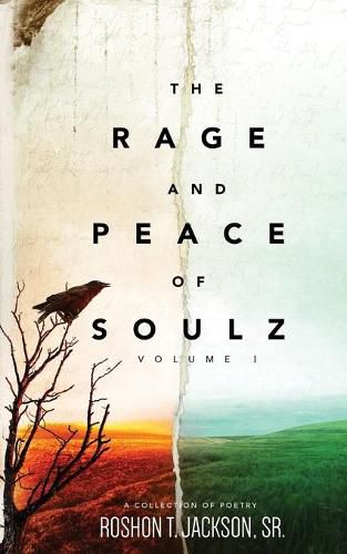 Cover image for The Rage and Peace of Soulz