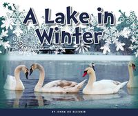 Cover image for A Lake in Winter