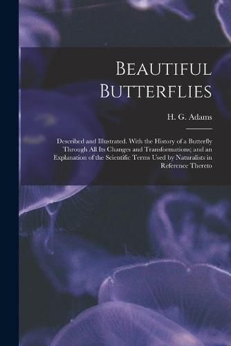 Beautiful Butterflies: Described and Illustrated. With the History of a Butterfly Through All Its Changes and Transformations; and an Explanation of the Scientific Terms Used by Naturalists in Reference Thereto