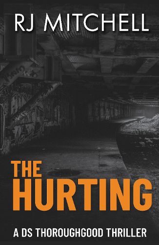 Cover image for The Hurting