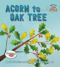Cover image for Acorn to Oak Tree
