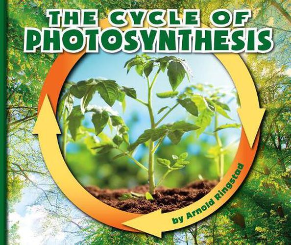 Cover image for The Cycle of Photosynthesis