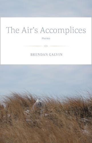 Cover image for The Air's Accomplices: Poems