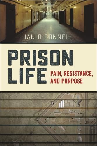 Cover image for Prison Life: Pain, Resistance, and Purpose