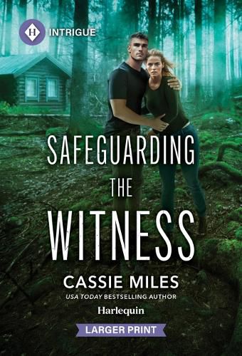 Cover image for Safeguarding the Witness