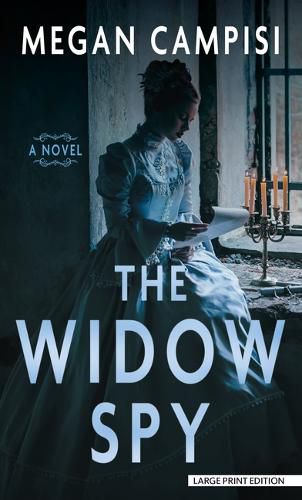 Cover image for The Widow Spy