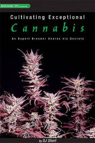 Cover image for Cultivating Exceptional Cannabis: An Expert Breeder Shares His Secrets