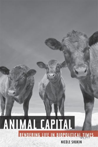 Cover image for Animal Capital: Rendering Life in Biopolitical Times