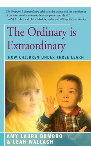 Cover image for The Ordinary Is Extraordinary: How Children Under Three Learn