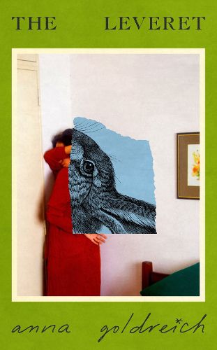 Cover image for The Leveret