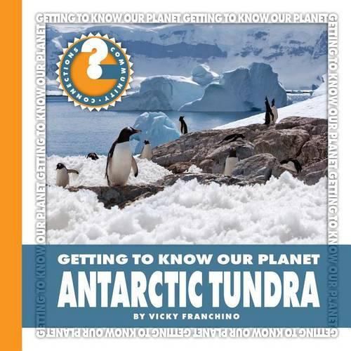 Cover image for Antarctic Tundra