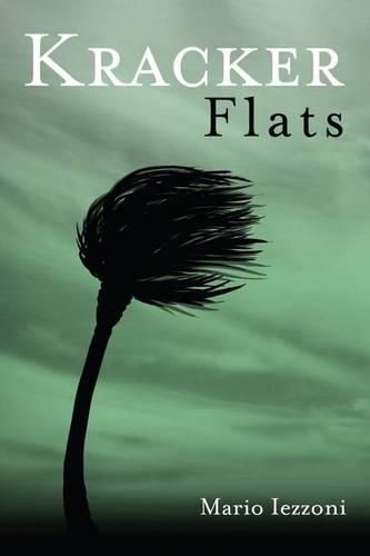 Cover image for Kracker Flats