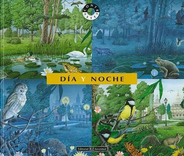 Cover image for Dia y Noche