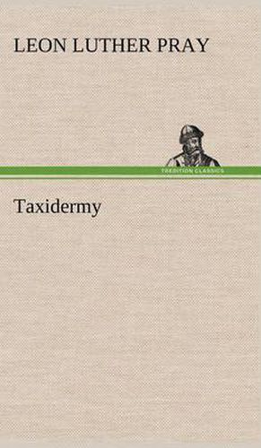 Cover image for Taxidermy