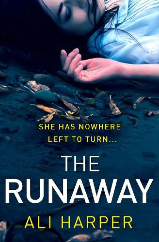 Cover image for The Runaway