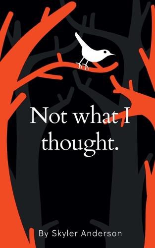 Cover image for Not What I Thought.