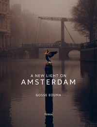 Cover image for A New Light on Amsterdam