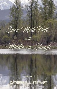 Cover image for Snow Melts First in the Middle of the Slough