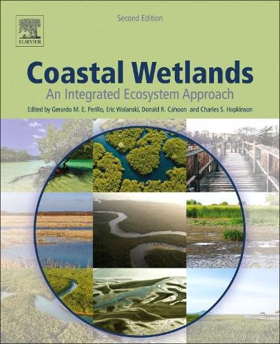 Cover image for Coastal Wetlands: An Integrated Ecosystem Approach