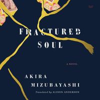 Cover image for Fractured Soul