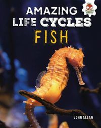 Cover image for Fish