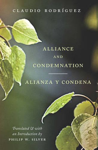 Cover image for Alliance and Condemnation / Alianza y Condena