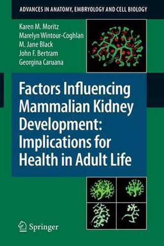 Factors Influencing Mammalian Kidney Development: Implications for Health in Adult Life