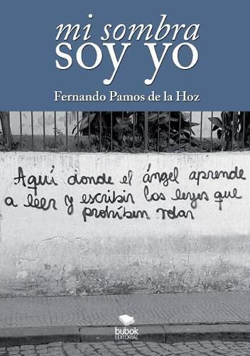 Cover image for Mi sombra soy yo