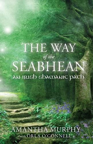 Cover image for The Way of the Seabhean: An Irish Shamanic Path