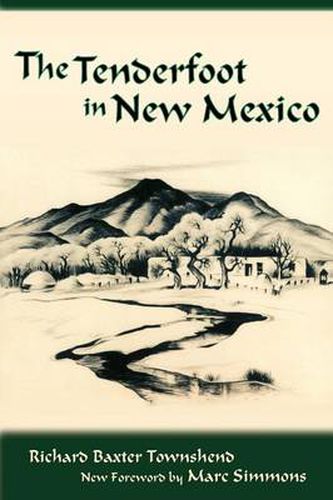 Cover image for The Tenderfoot in New Mexico