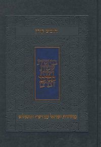 Cover image for Koren Humash - Bamidbar: Rashi & Onkelos Menukad with Color Photos