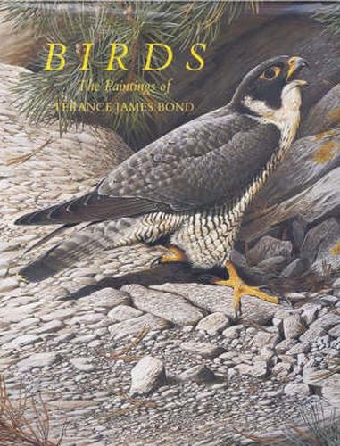 Cover image for Birds