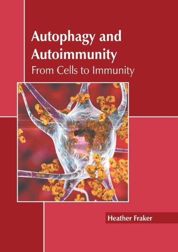 Cover image for Autophagy and Autoimmunity: From Cells to Immunity
