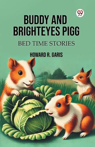 Cover image for Buddy And Brighteyes Pigg Bed Time Stories