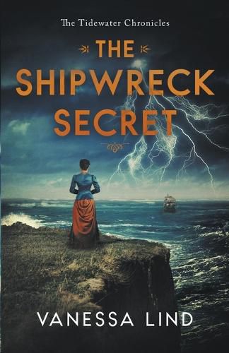 Cover image for The Shipwreck Secret