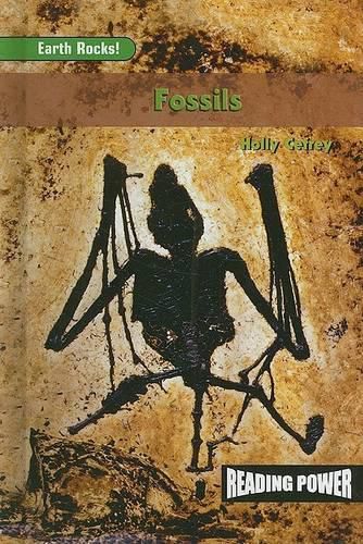 Fossils