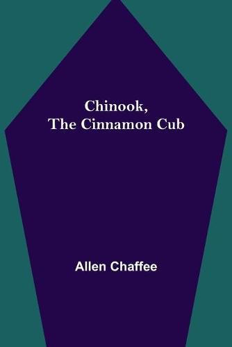 Chinook, the Cinnamon Cub