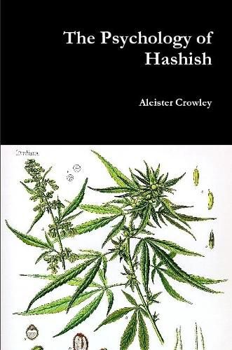 Cover image for The Psychology of Hashish