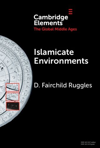 Cover image for Islamicate Environments