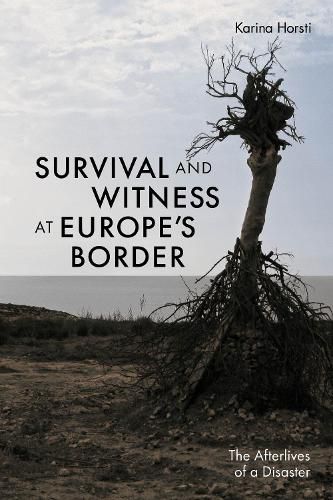 Cover image for Survival and Witness at Europe's Border
