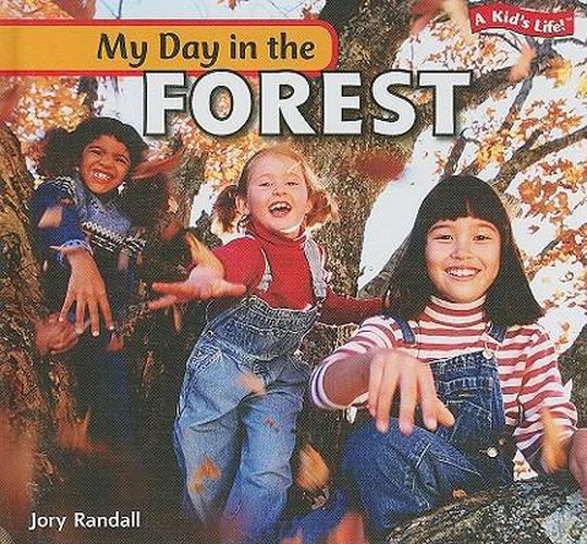 Cover image for My Day in the Forest