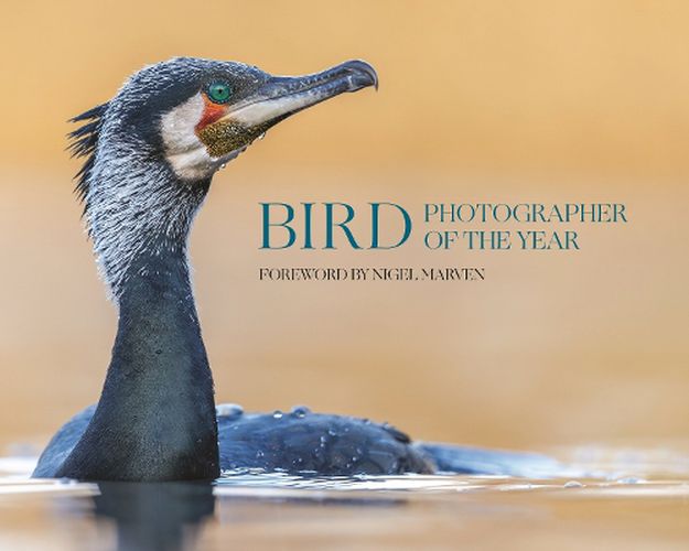 Cover image for Bird Photographer of the Year
