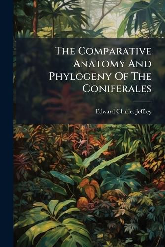 Cover image for The Comparative Anatomy And Phylogeny Of The Coniferales