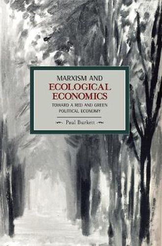 Cover image for Marxism And Ecological Economics: Toward A Red And Green Poltical Economy: Historical Materialism, Volume 11