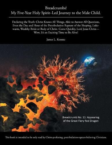 Cover image for Breadcrumbs!: My Five-Year Holy Spirit-Led Journey to the Male Child.