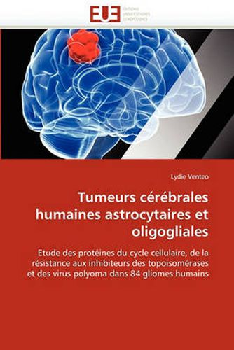 Cover image for Tumeurs C R Brales Humaines Astrocytaires Et Oligogliales