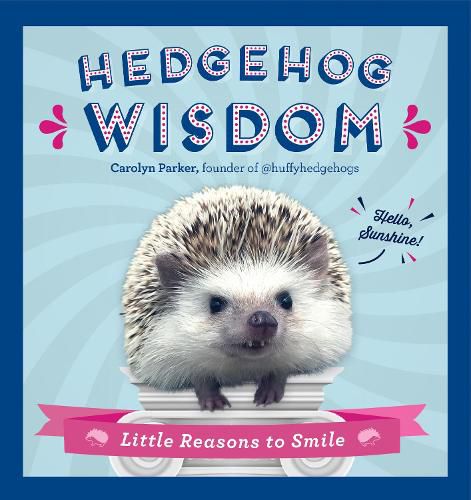 Cover image for Hedgehog Wisdom: Little Reasons to Smile